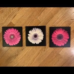 Target Home Daisy Wall Plaques - set of 3